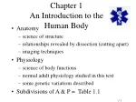 PPT - Introduction To Human Body PowerPoint Presentation, Free Download ...