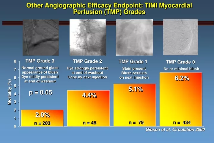 other angiographic efficacy endpoint timi