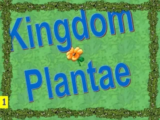 Kingdom Plantae