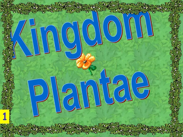 kingdom plantae