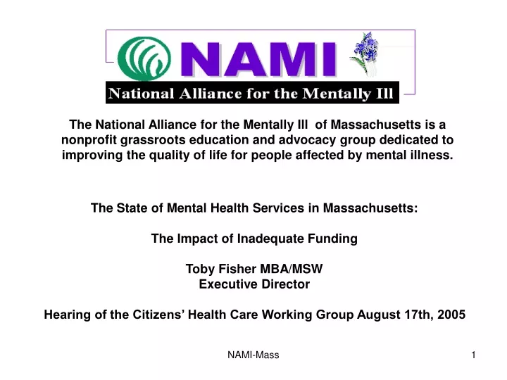 the national alliance for the mentally