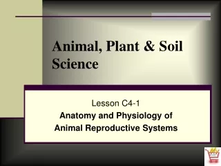 Animal, Plant &amp; Soil Science