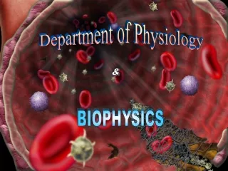 Department of Physiology