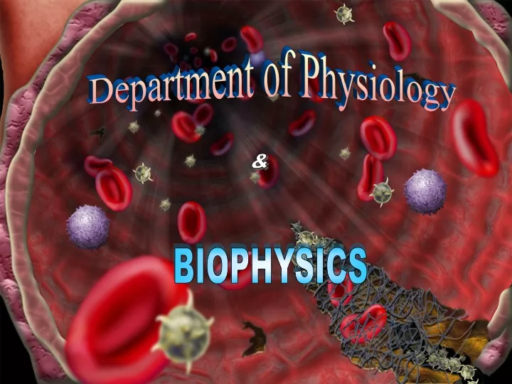 department of physiology