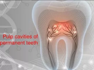 Pulp cavities of permanent teeth