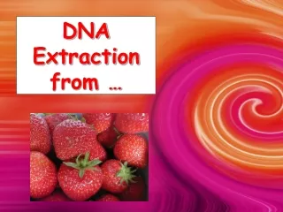 DNA Extraction from …