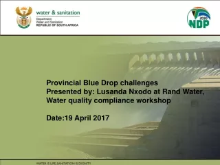 Provincial Blue Drop challenges