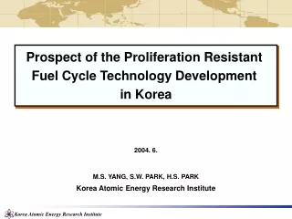 2004. 6. M.S. YANG, S.W. PARK, H.S. PARK Korea Atomic Energy Research Institute