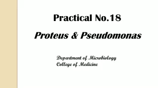 Practical No.18 Proteus &amp; Pseudomonas
