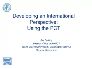 Developing an International Perspective:  Using the PCT