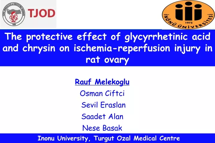 the protective effect of glycyrrhetinic acid
