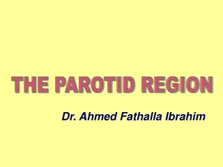 THE PAROTID REGION