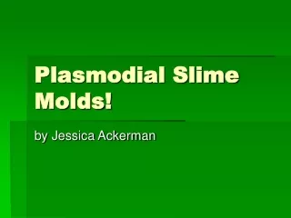 Plasmodial Slime Molds!