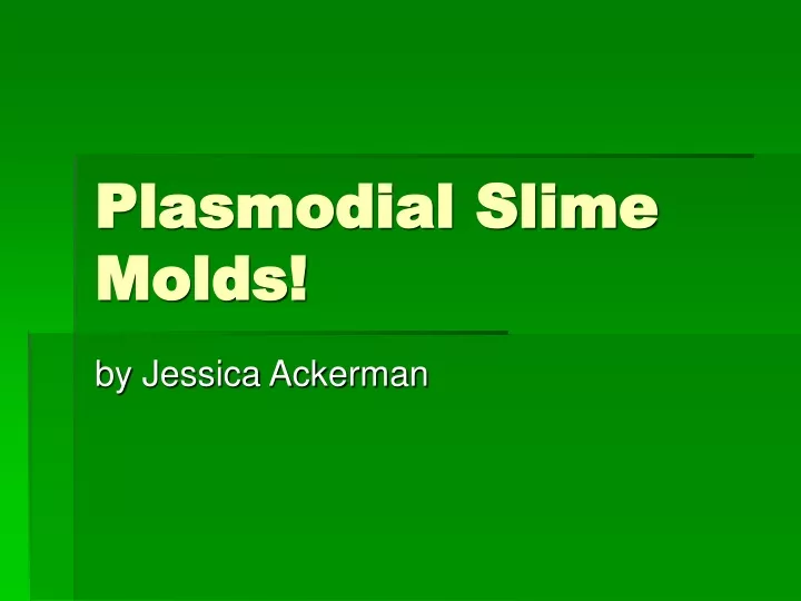 plasmodial slime molds