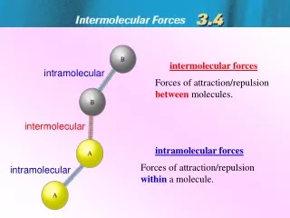 Forces of attraction/repulsion  between  molecules.