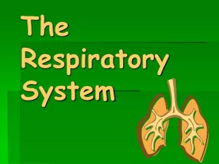 The Respiratory System