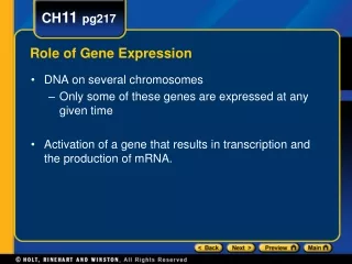 Role of Gene Expression