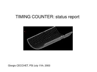 TIMING COUNTER: status report