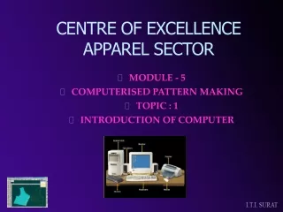 CENTRE OF EXCELLENCE APPAREL SECTOR