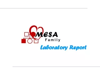 Laboratory Report