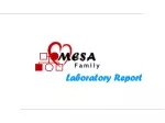 Laboratory Report