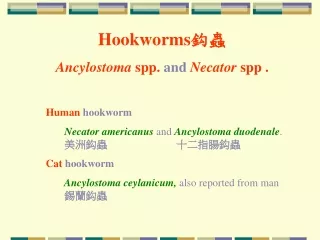 Human  hookworm Necator americanus  and  Ancylostoma duodenale .