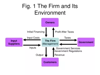 Fig. 1 The Firm and Its Environment
