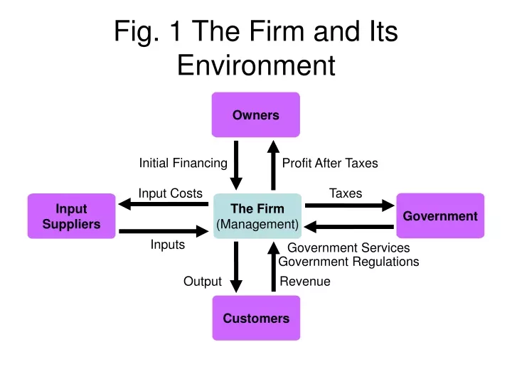 fig 1 the firm and its environment