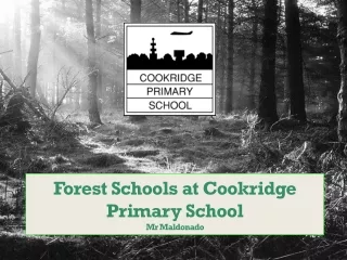 Forest  Schools at Cookridge Primary School Mr  Maldonado