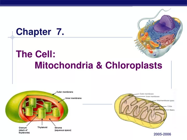 chapter 7 the cell mitochondria chloroplasts