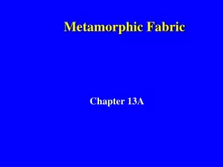 Metamorphic Fabric