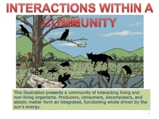Populations of different species = COMMUNITY