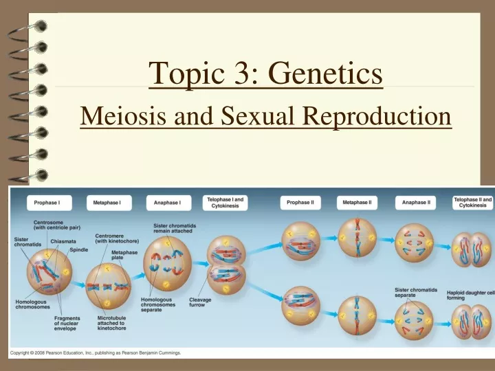 topic 3 genetics meiosis and sexual reproduction