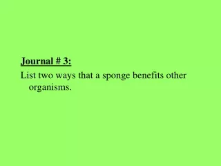 Journal # 3: List two ways that a sponge benefits other organisms.