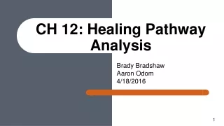 CH 12: Healing Pathway Analysis