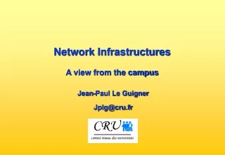 Network Infrastructures A view from the campus