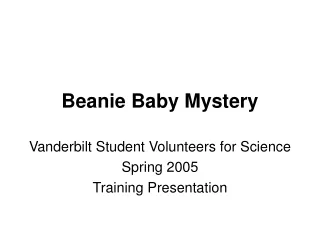 Beanie Baby Mystery