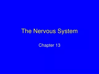 The Nervous System