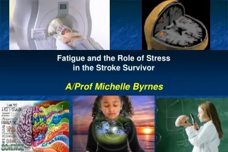 Fatigue and the Role of Stress  in the Stroke Survivor A/Prof Michelle Byrnes