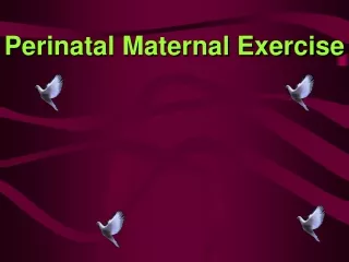 Perinatal Maternal Exercise
