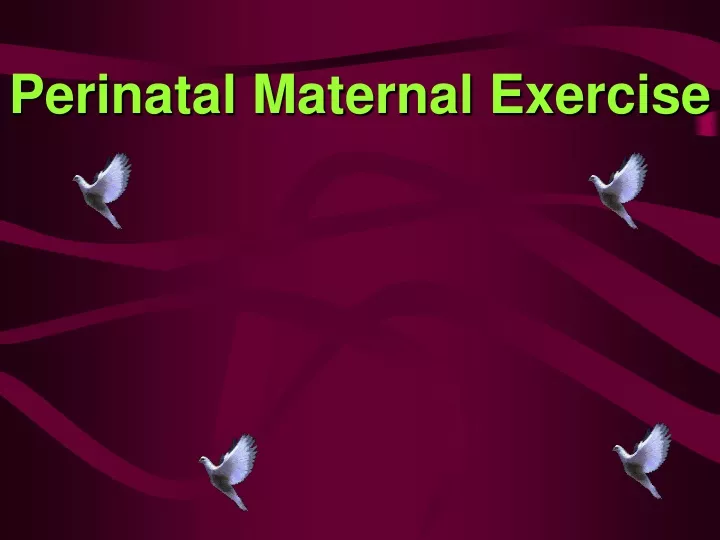 perinatal maternal exercise