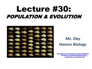 Lecture #30:  POPULATION &amp; EVOLUTION