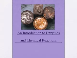 An Introduction to Enzymes and Chemical Reactions