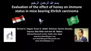 Evaluation of the effect of honey on immune status in mice bearing Ehrlich carcinoma