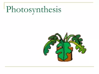 Photosynthesis