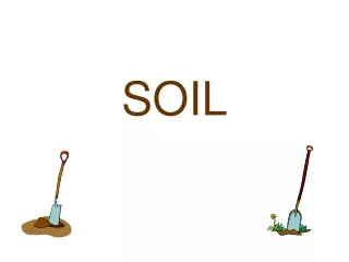 SOIL