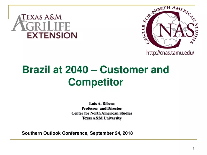 brazil at 2040 customer and competitor