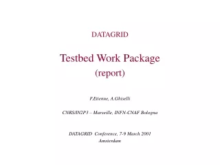 DATAGRID Testbed Work Package (report)