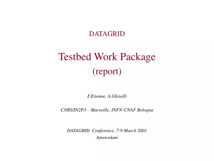 datagrid testbed work package report