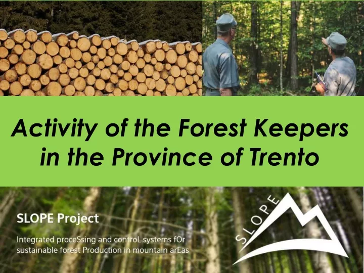 activity of the forest keepers in the province